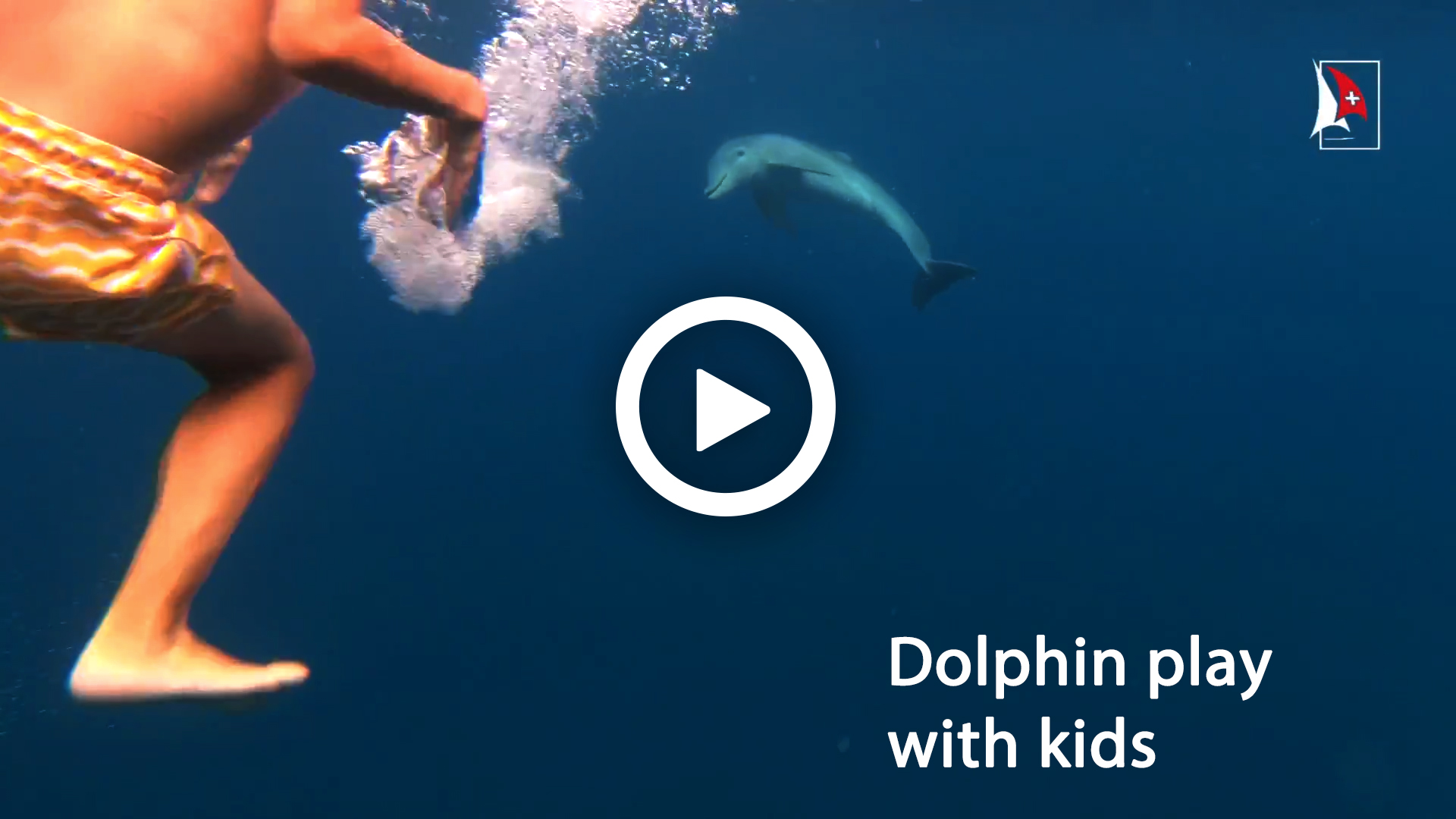 Sailing video to sale - dolphin play with kids