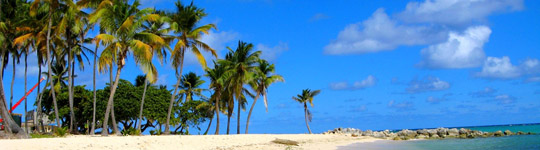 Croisière à la cabine - Guadeloupe