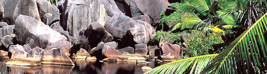 Croisière à la cabine - Seychelles, Silhouette Dream Premium