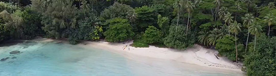 Croisière à la cabine - Polynésie