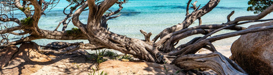 Croisière à la cabine - Pevero – Romazzino – Principe – Cala di Volpe - Olbia 