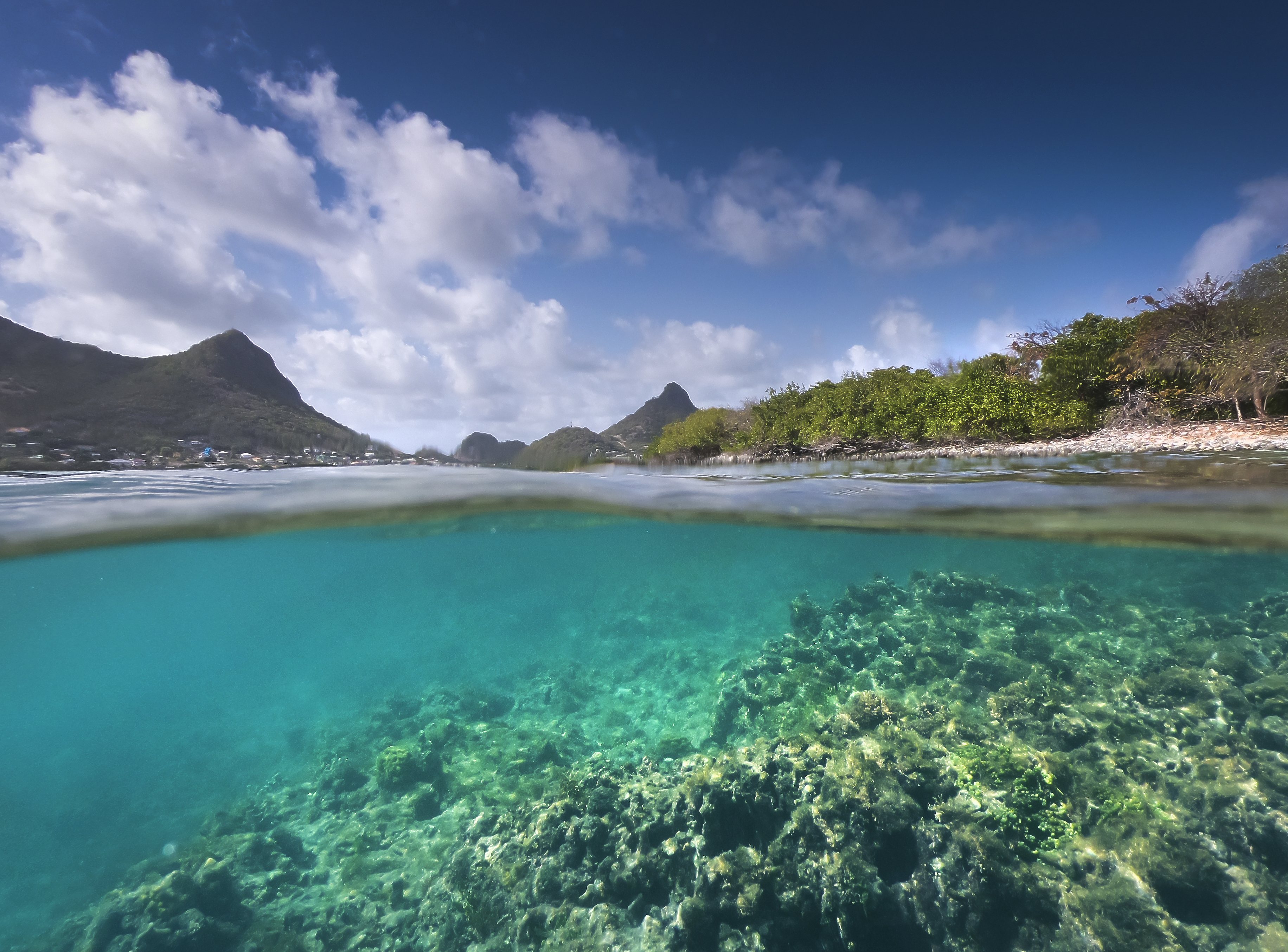 Croisière kitesurf aux Grenadines - location de voilier et catamaran
