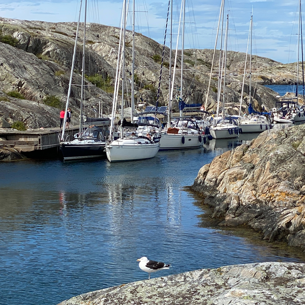 Location de voilier et catamaran en Suède - mouillage sur île Vader